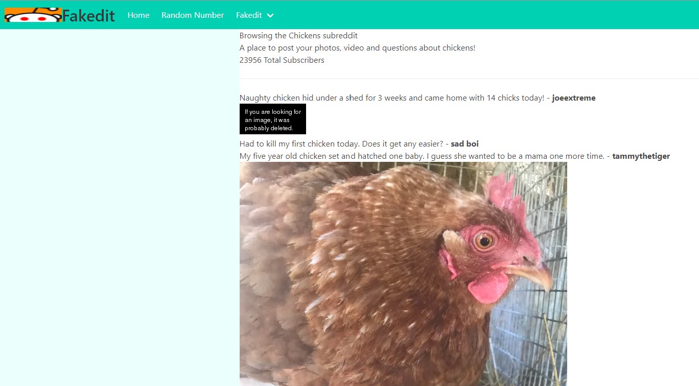 screenshot of fake reddit